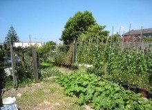 Kwikfynd Vegetable Gardens
myrniong
